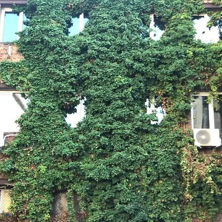 Center House Daire Sofya